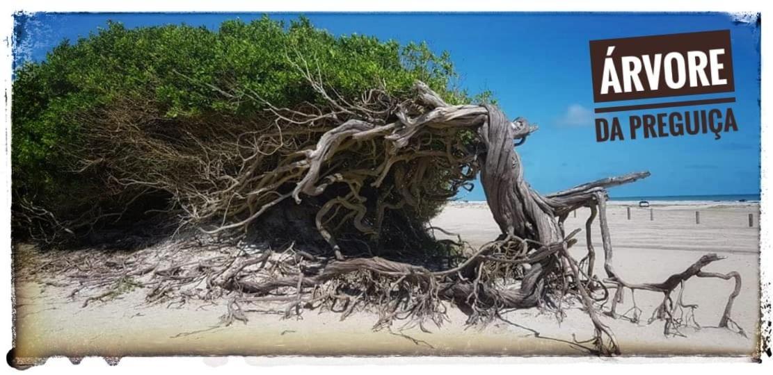 Villa Casa A 3 Minutos Do Aeroporto De Jericoacoara Esterno foto